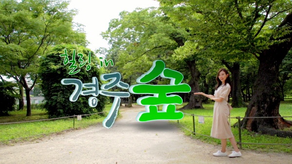 힐링 in 경주 숲
