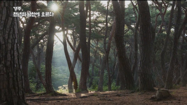 천년의 남산에 오르다