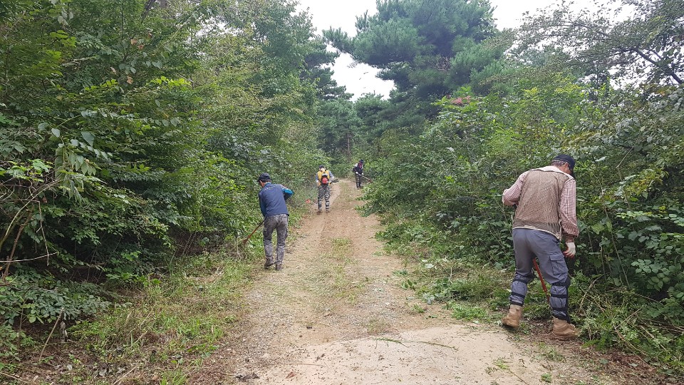 임도 변 풀베기 작업