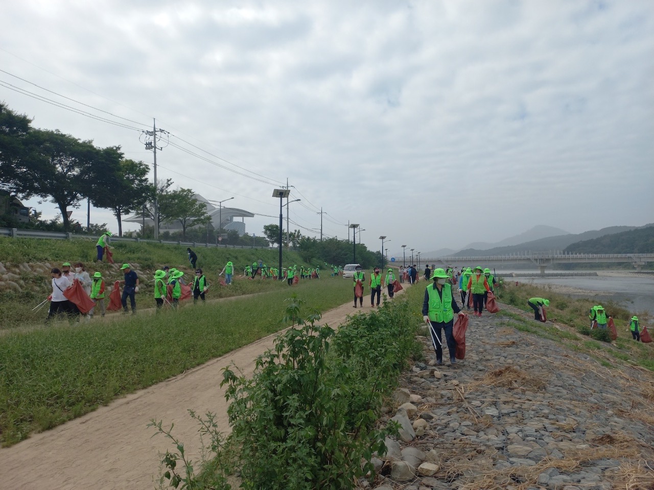 지난 17일 환경단체 회원들과 시청 환경과 직원들이 형산강 하천변을 방문해 수해쓰레기 환경정화 활동을 펼치고 있다