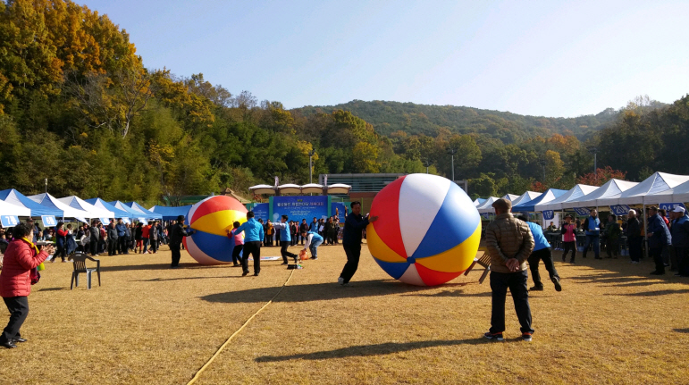 월성동민 화합한마당 체육대회