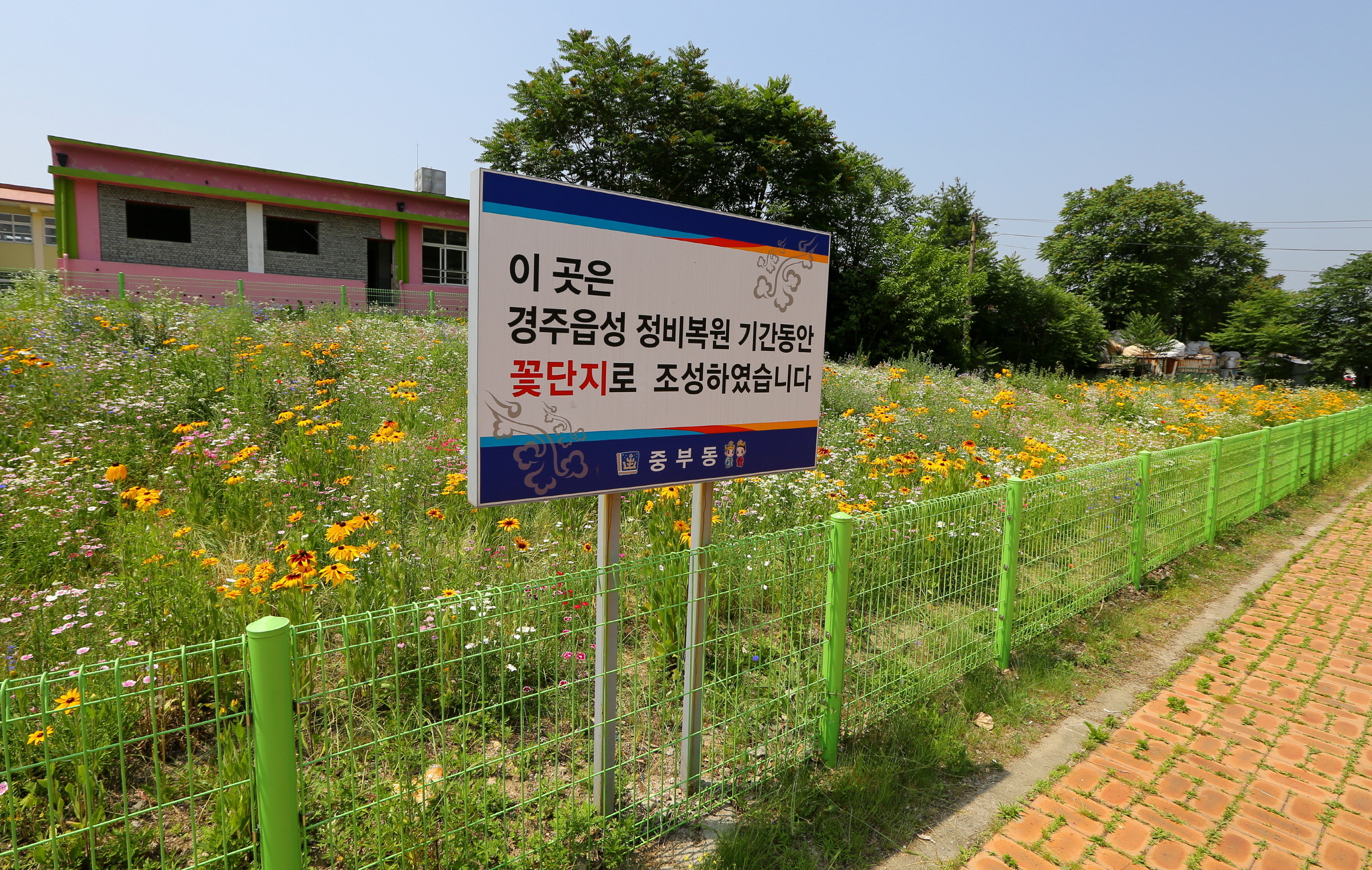 읍성지구 야생화 화원 조성