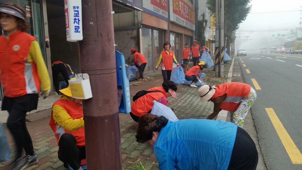 읍성주변 및 가로변 환경정비