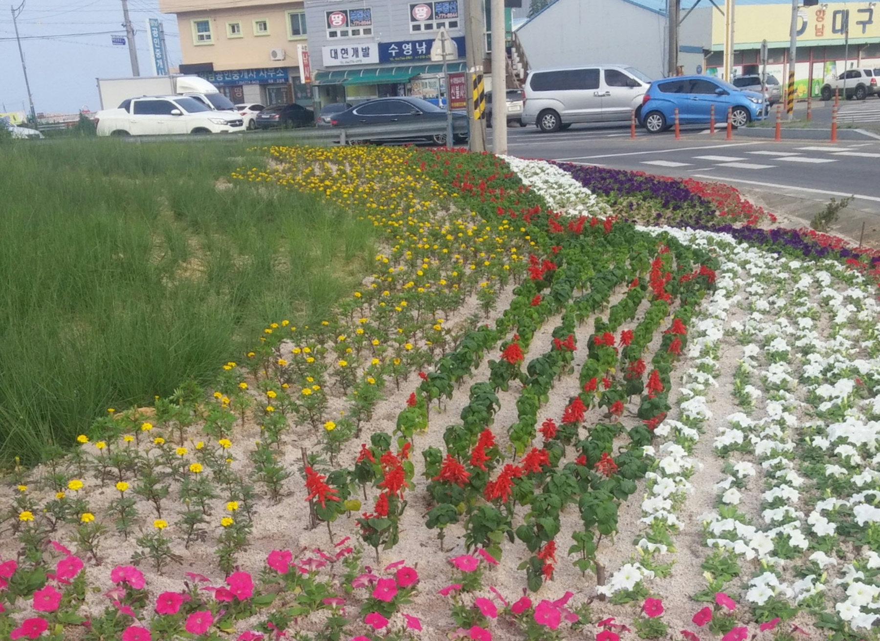 가을맞이 꽃밭조성