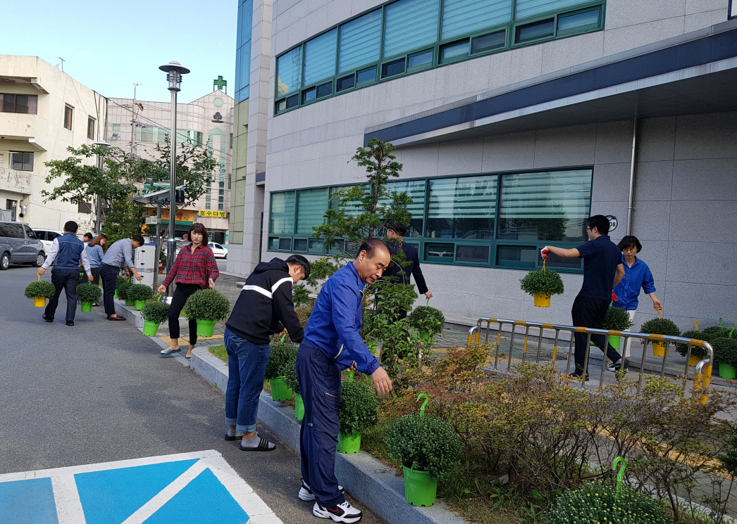 국화화분 설치