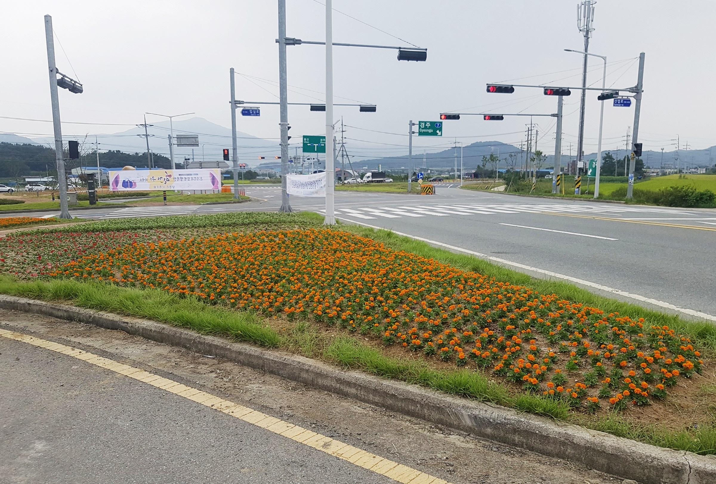 교통섬에 꽃밭을 조성