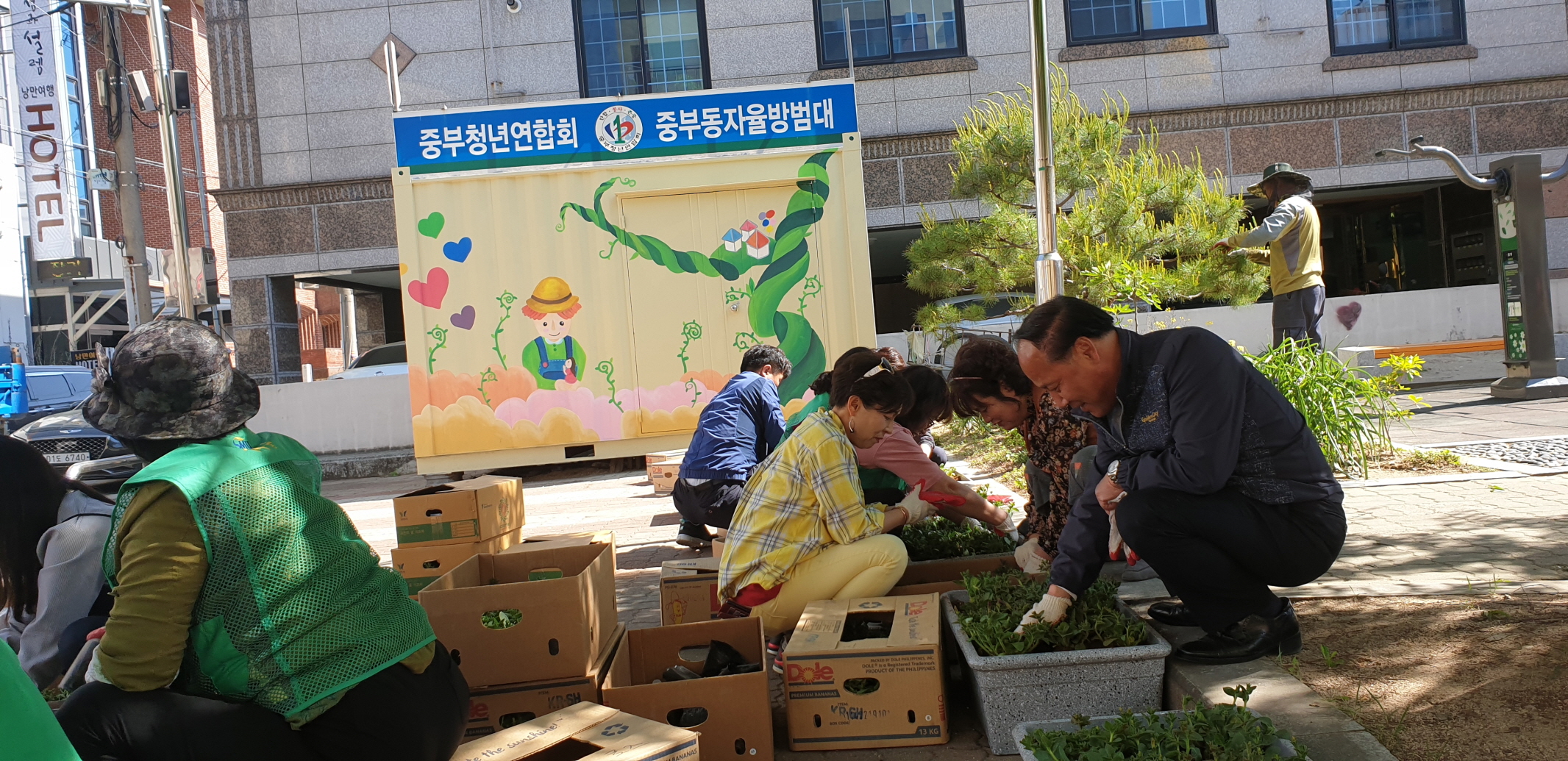 청사 주변 가꾸기