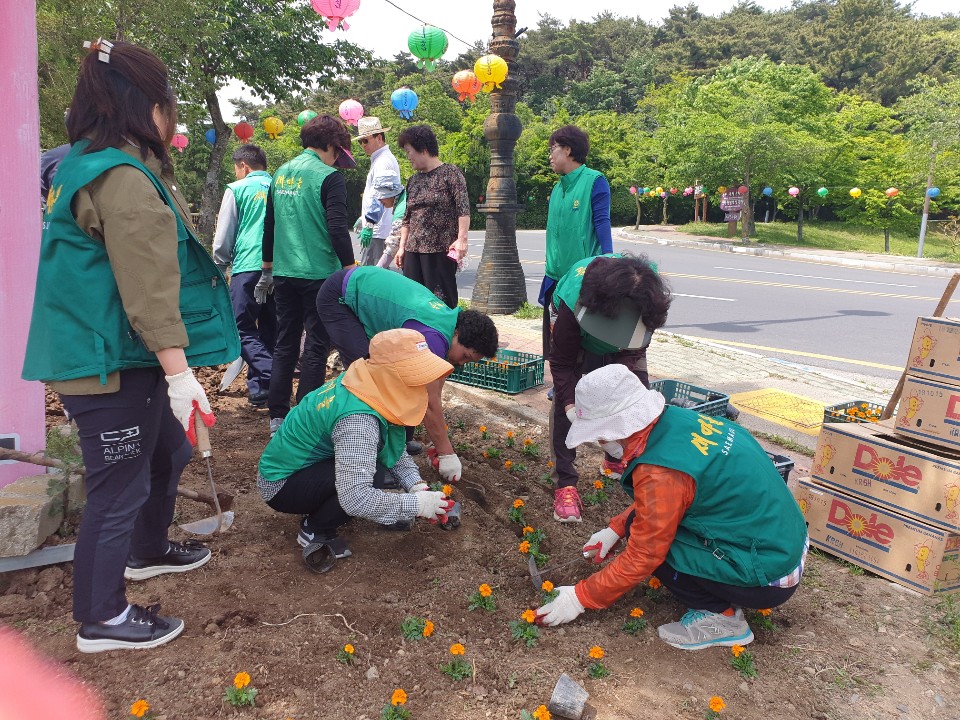 불국로 꽃길 조성