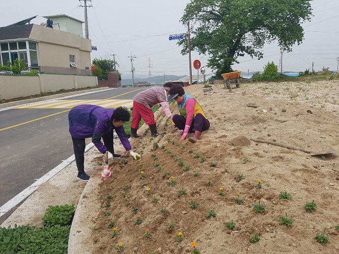 빈 공터 꽃밭 조성