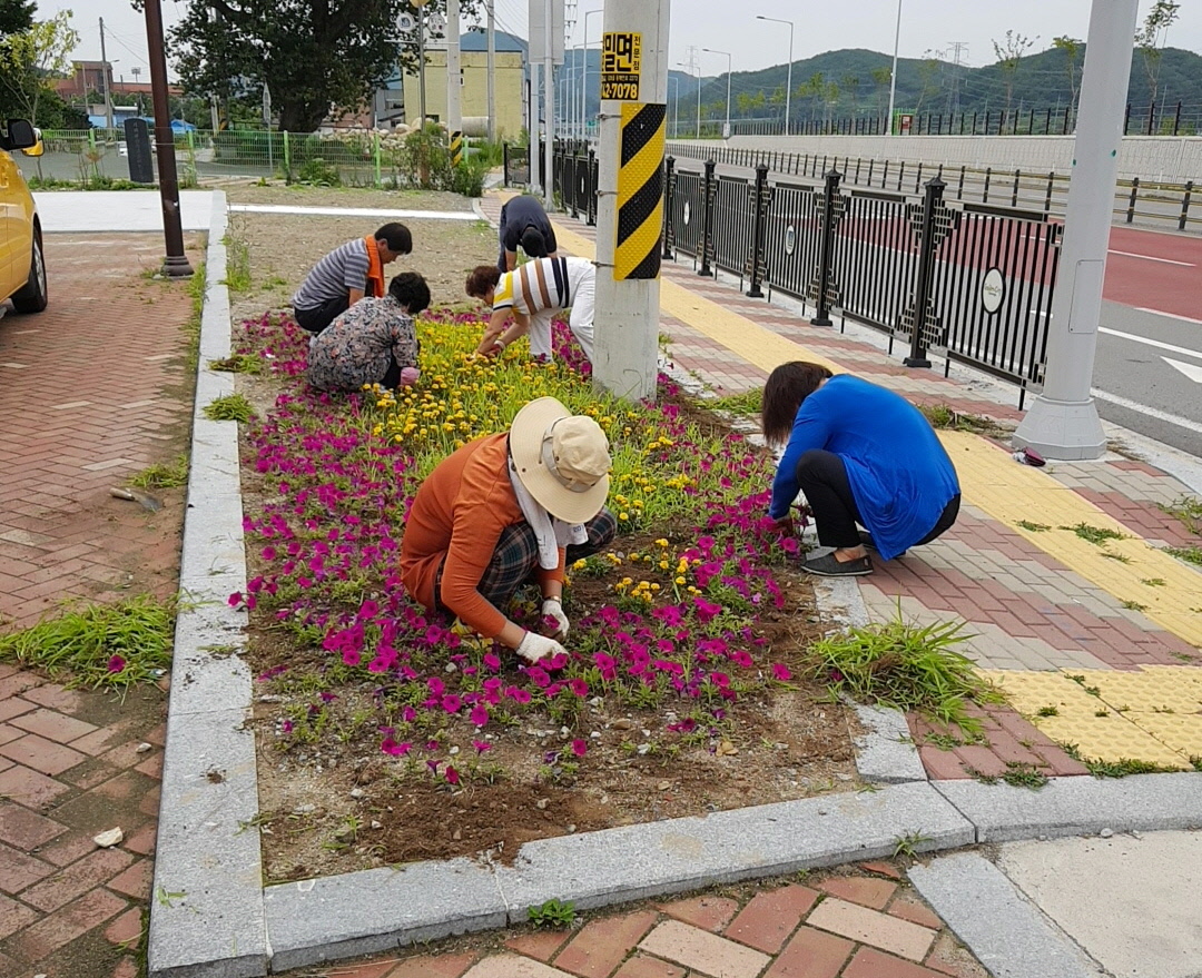 환경정화 활동