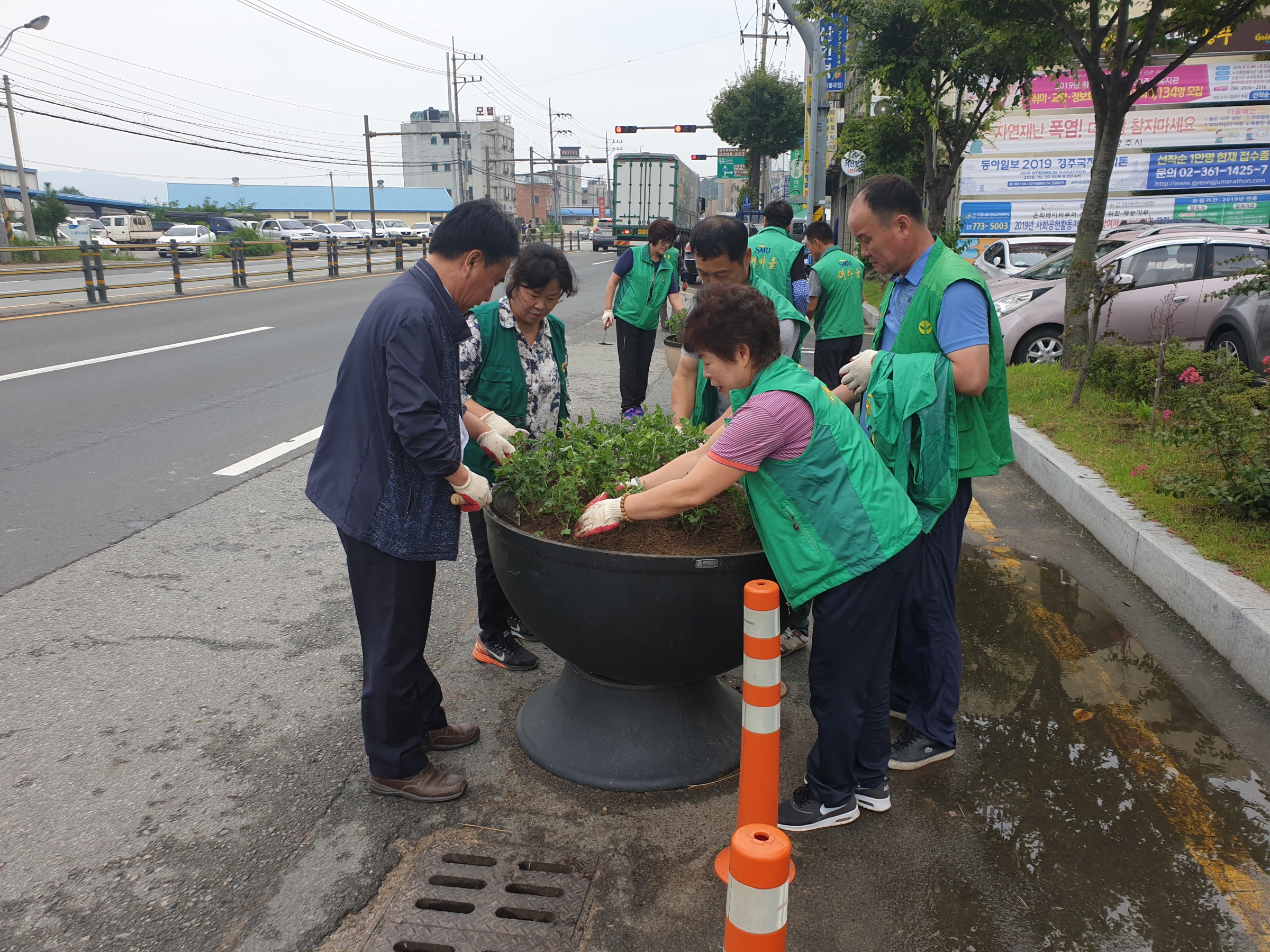 국화 식재