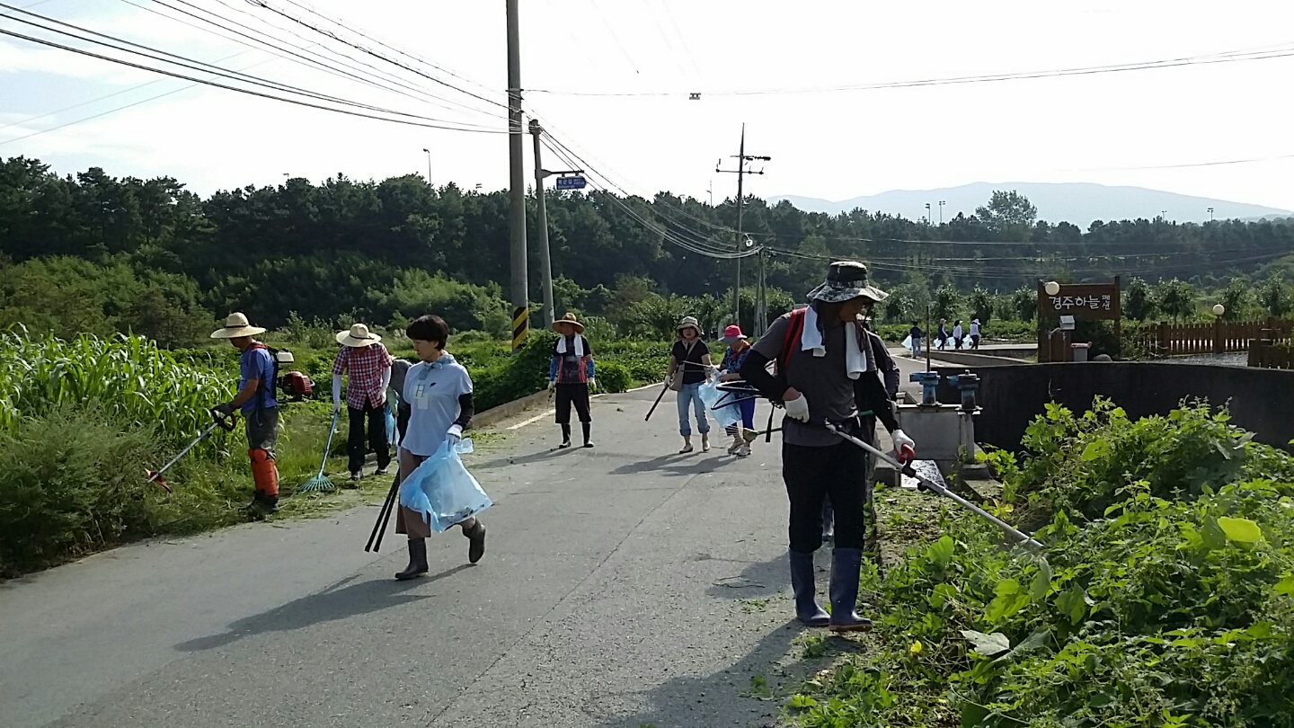 관광객 맞이 환경정비