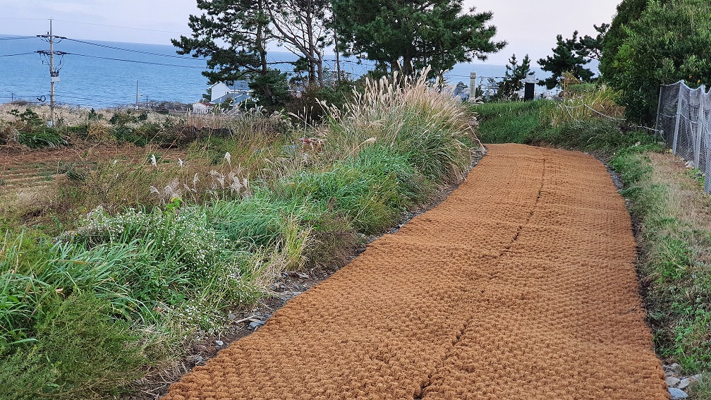 산책로 정비