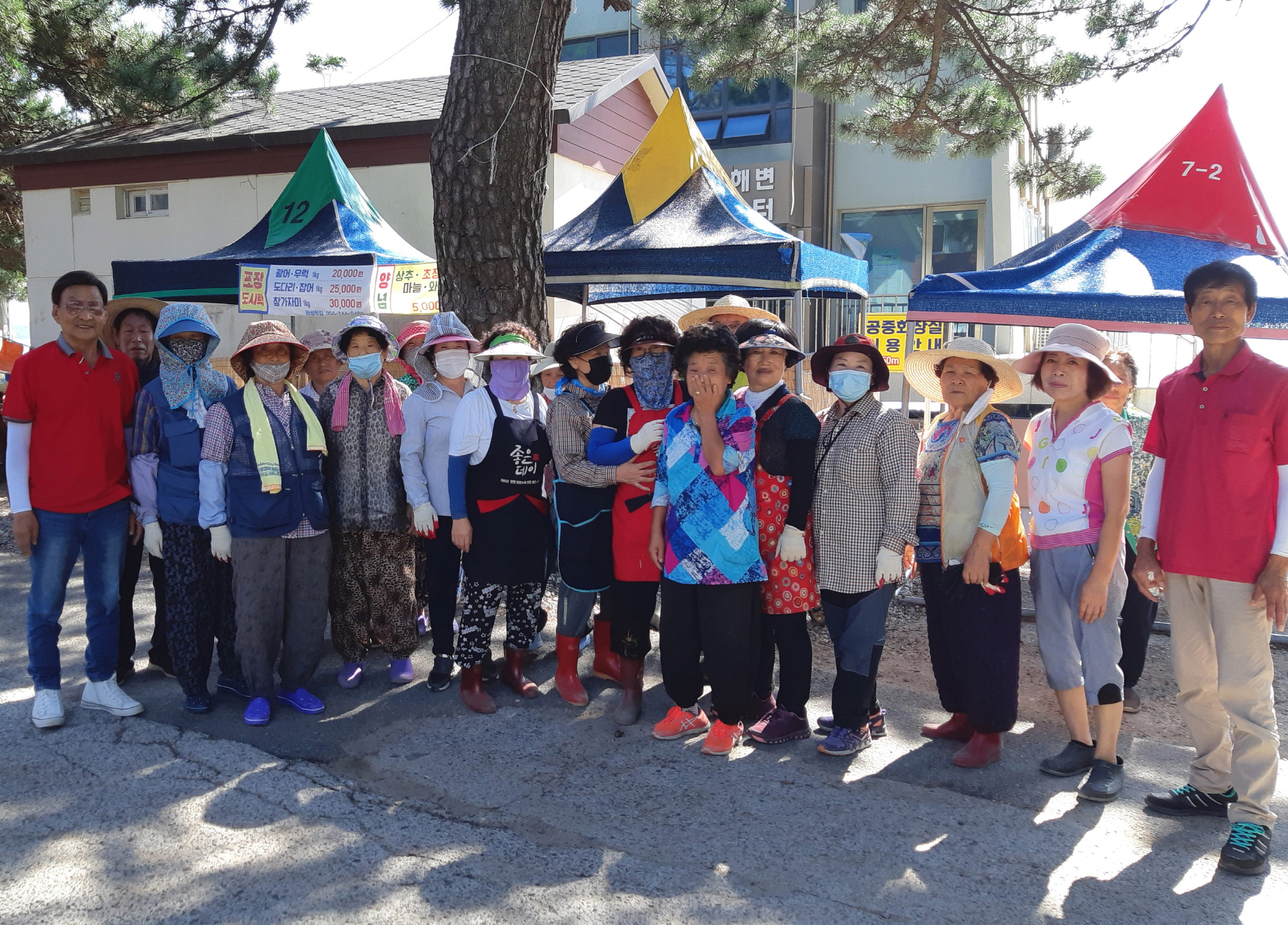 환경정화활동
