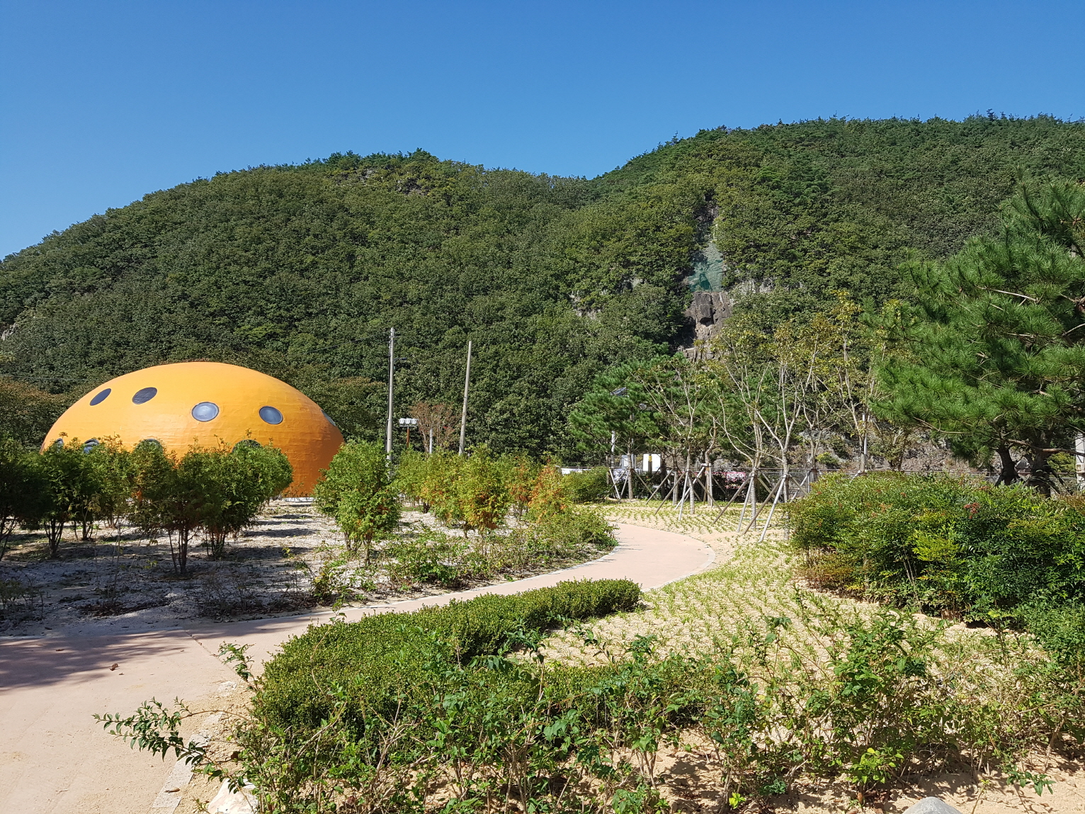 청룡공원 야생화단지