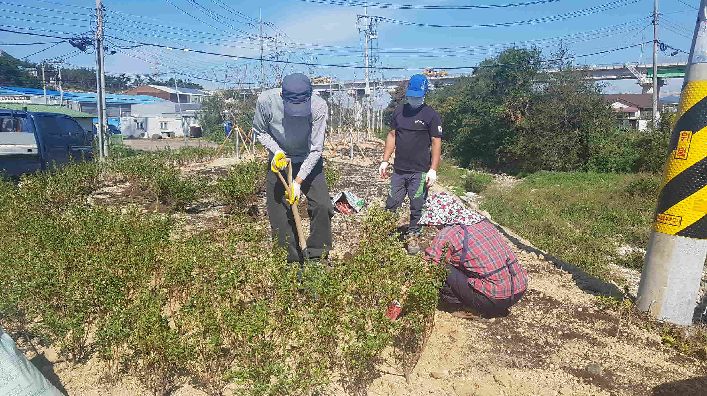 외동읍 냉천2리 새터마을 게릴라가든 조성