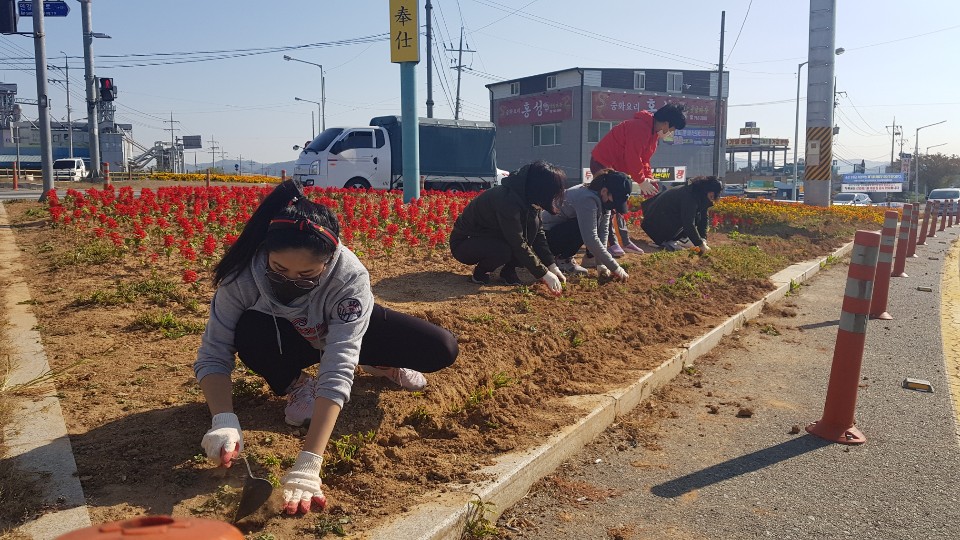 아름다운 안강만들기