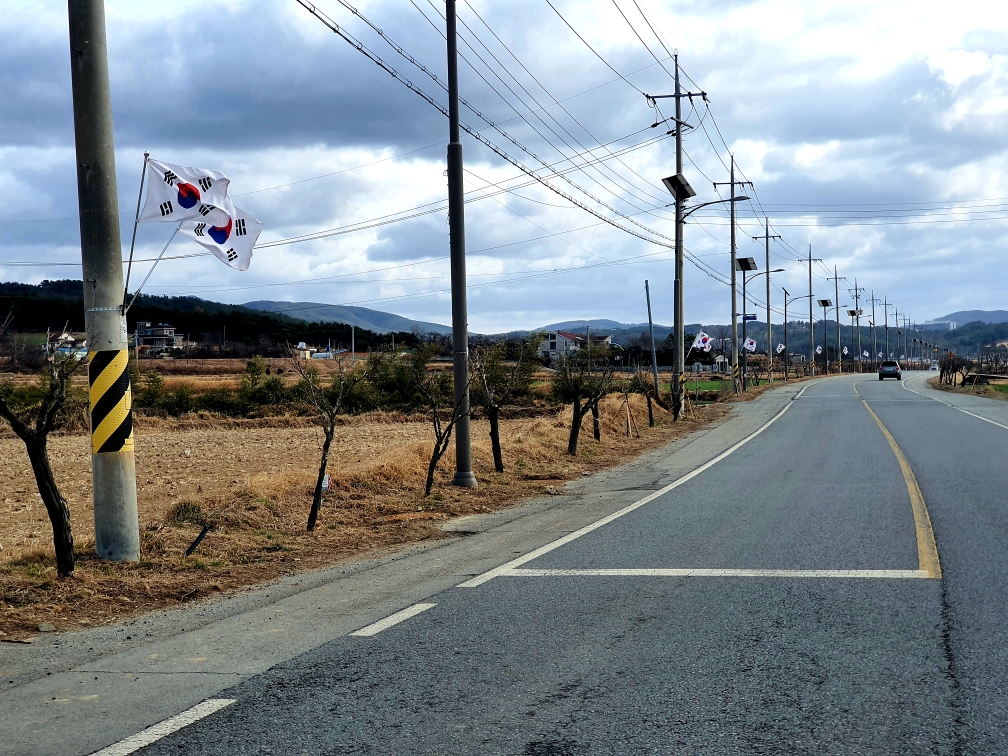 천북남로 무궁화거리