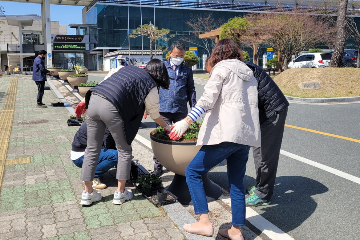 청사 입구에 봄꽃을 식재하는 모습