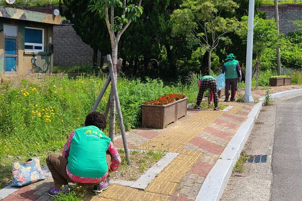 새마을소공원의 풀뽑기 및 환경정비를 실시하는 모습