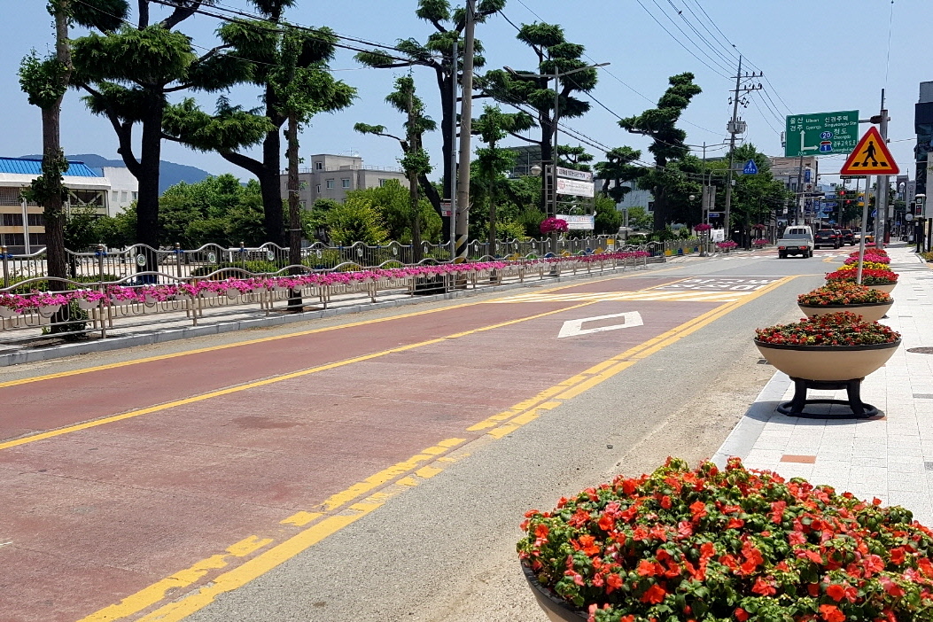 건천읍 행정복지센터 앞 도로변 화단에 꽃을 식재한 모습