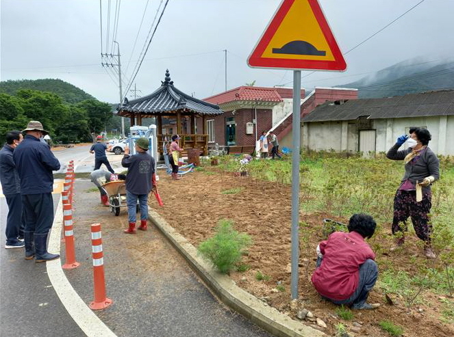 건천읍 대곡2리 주민들이 꽃밭가꾸기 등 마을을 정비하는 모습