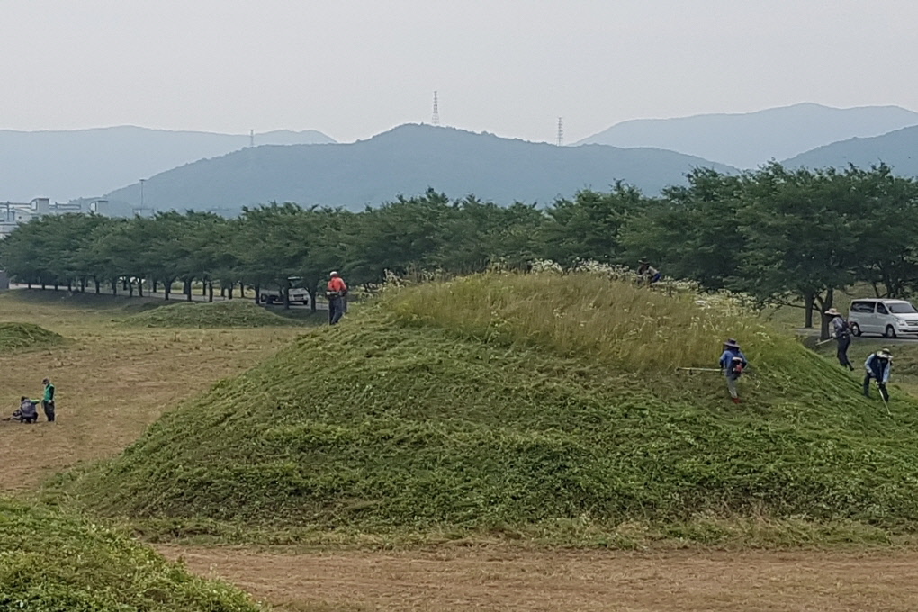 새마을회에서 제초작업을 실시하는 모습