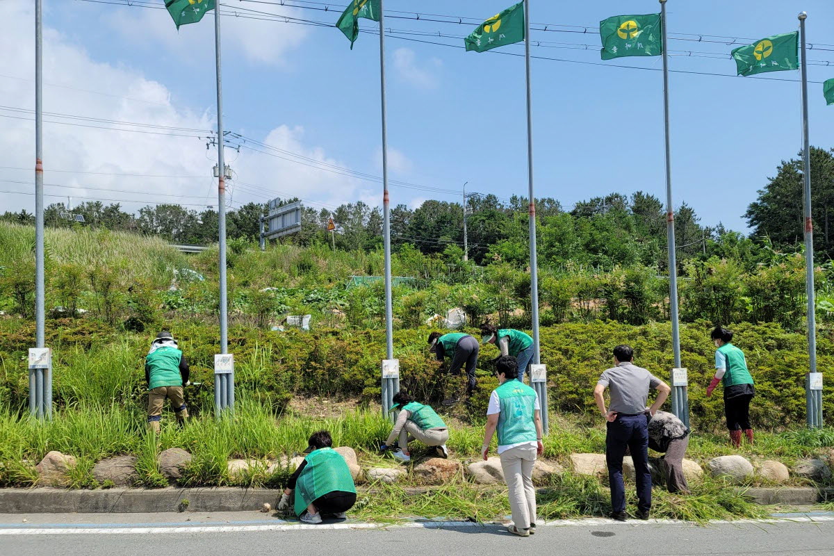 감포읍 새마을부녀회 회원들이 건천 전촌사거리 풀베기 및 환경정비를 실시하는 모습