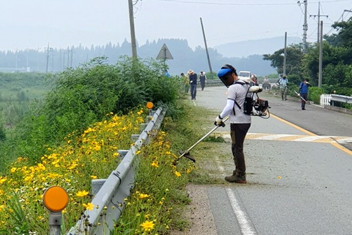 가로변 풀베기 및 환경정비를 실시하는 모습