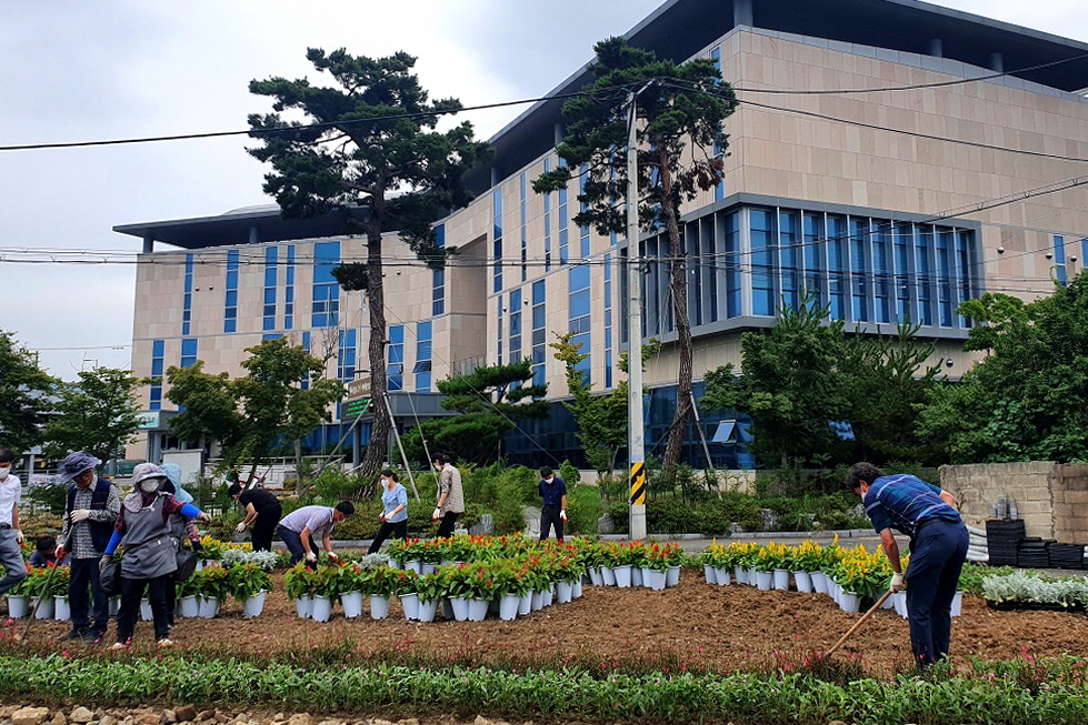 직원들과 주민들이 함께 청사 앞 공유지에 꽃을 식재하는 모습