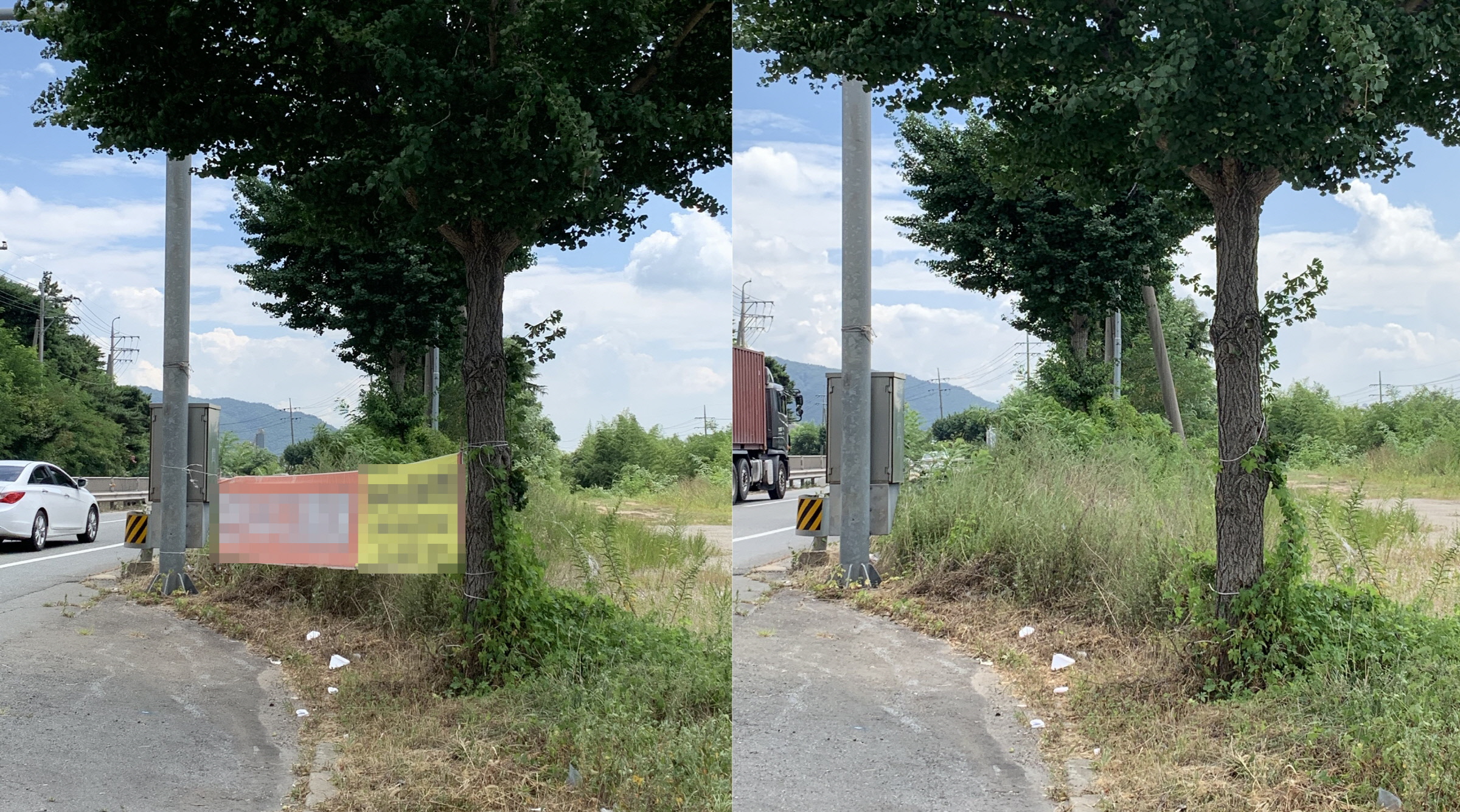 경주시 천북면, 불법현수막 일제정비로 도시 미관 개선 힘써