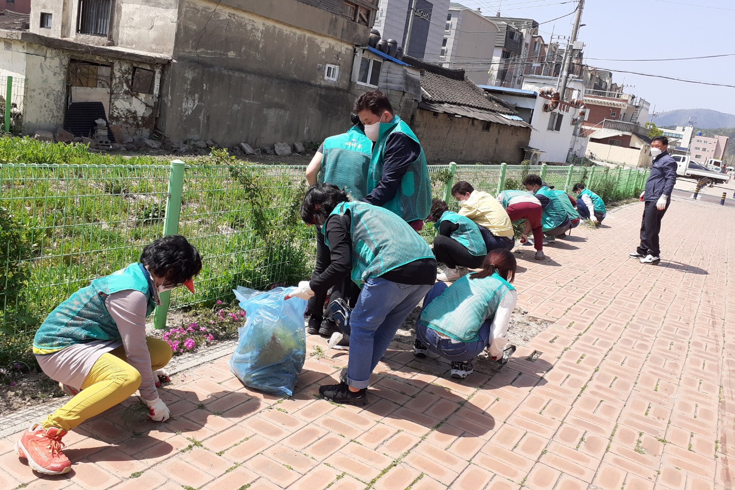 경주시 중부동 새마을부녀회(회장 장정희)회원 10여명이 18일 읍성 야생화 단지 부근 가로변을 정비와 꽃잔디 심기를 하고 있다