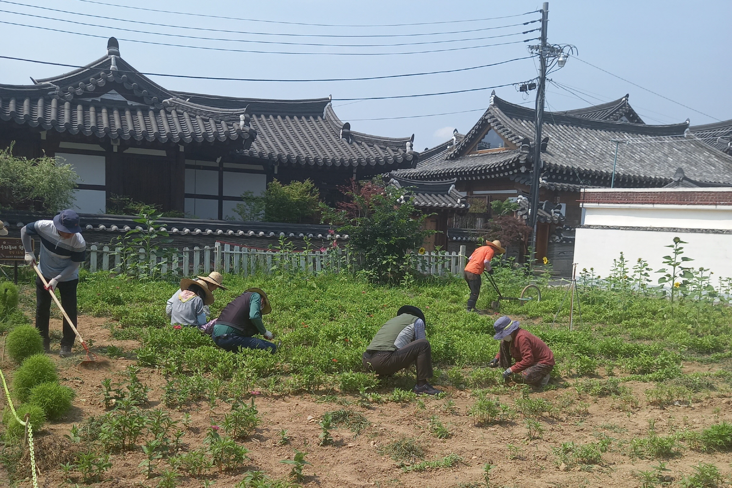 경주고도지구주민협의회원들이 지난 20일 아름다운 황남동 만들기 사업 일환으로 ‘우리동네 행복터’에서 꽃밭 가꾸기 활동을 펼치고 있다