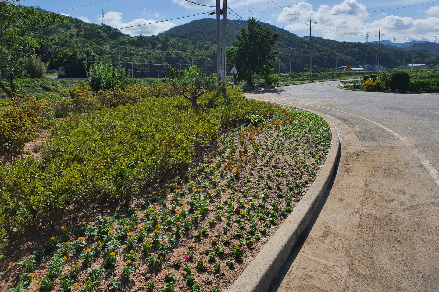 경주시 문무대왕면 와읍리 도로변에 조성된 미니 꽃 정원 모습