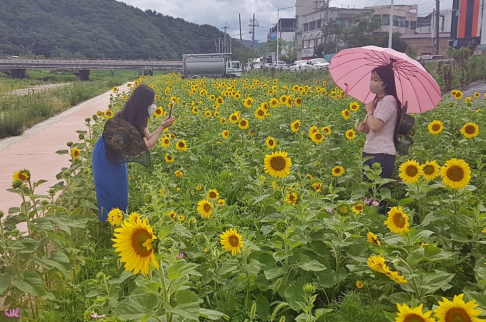 경주시 불국동이 동민의 젖줄인 시래천을 아름다운 친수공원으로 조성했다고 29일 밝혔다