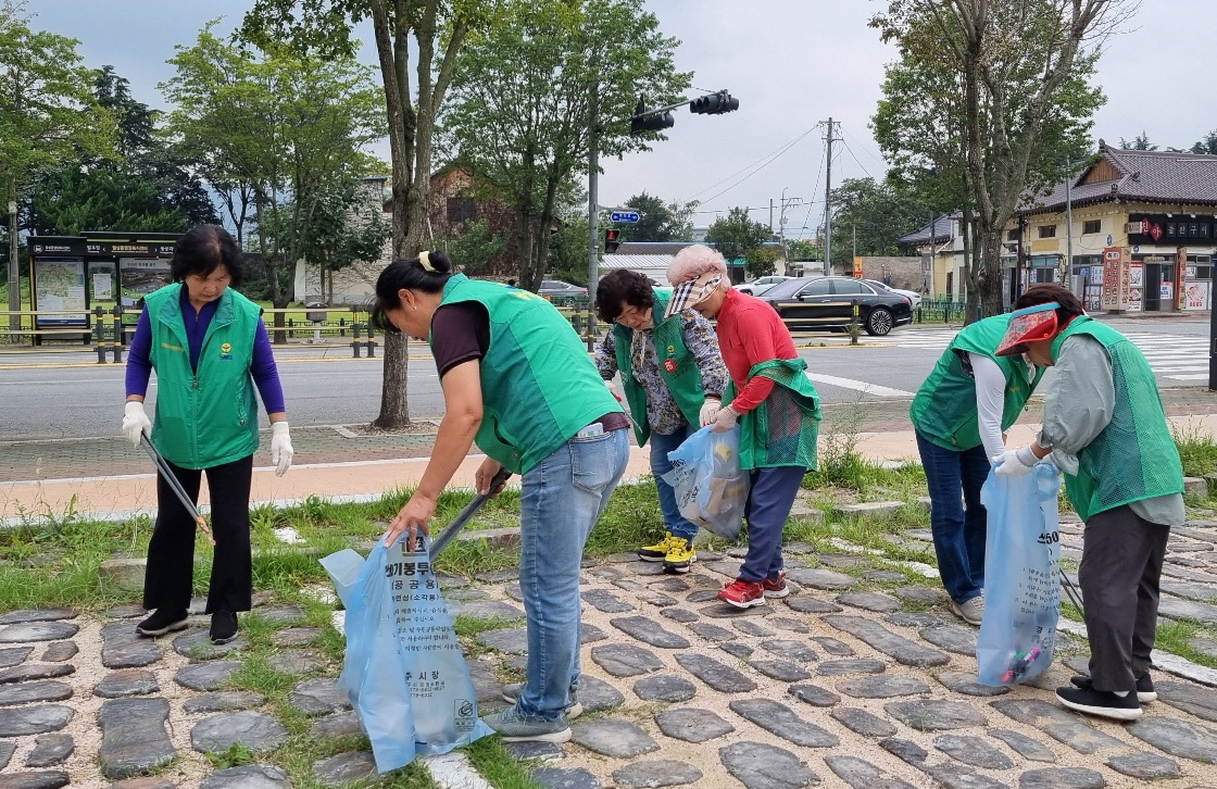 지난 20일 월성동 새마을부녀회에서 추석 명절을 맞아 인왕동 일대 환경정비 활동을 실시했다.
