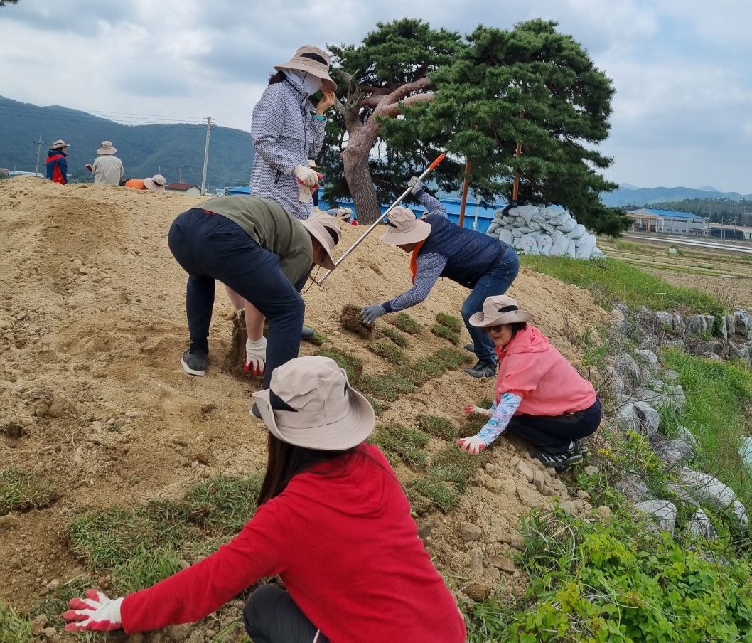 지난 6일부터 11일까지 안강읍 마을정원사 회원들이 아름다운 안강읍 만들기 사업을 추진해 마을 정원을 정비 및 조성했다