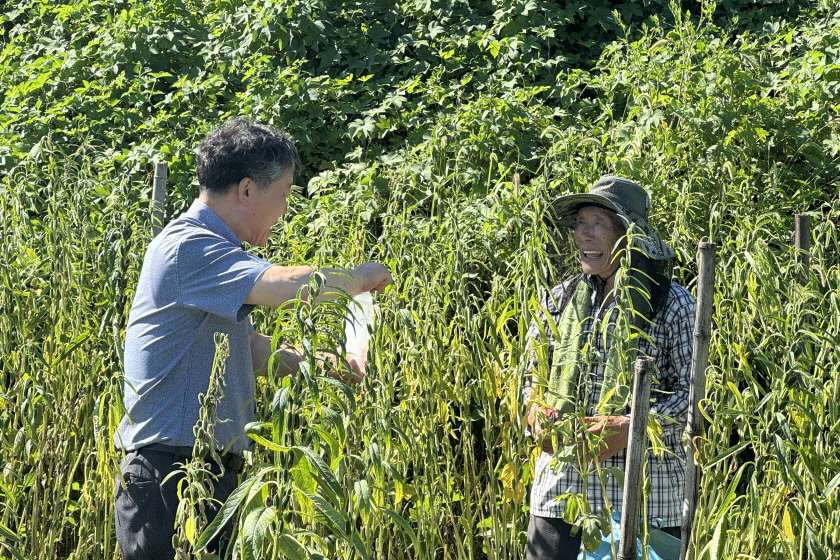 윤병록 안강읍장이 어르신에게 얼음물을 건네며 폭염 속 영농활동 자제를 당부하고 있다.
