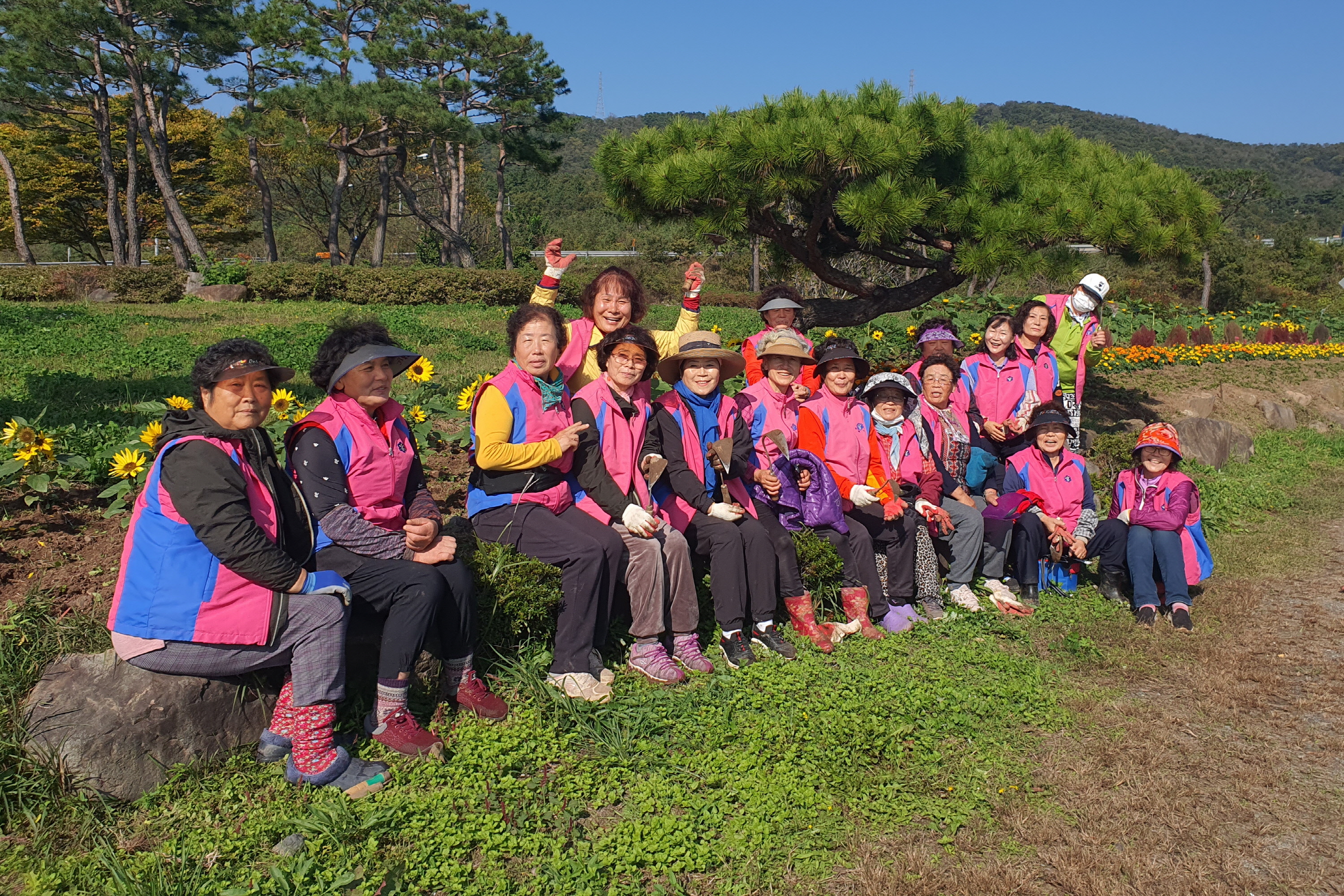 경주시 서면이 꽃밭을 조성했다.