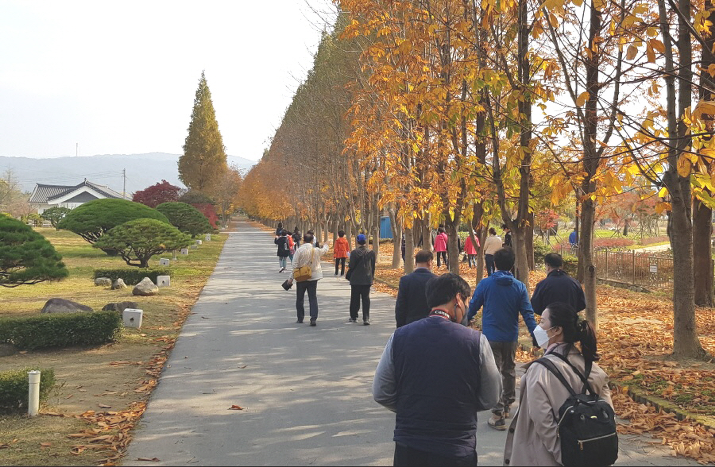 동리목월기념사업회, ‘가을, 인문학 산책’ 개최