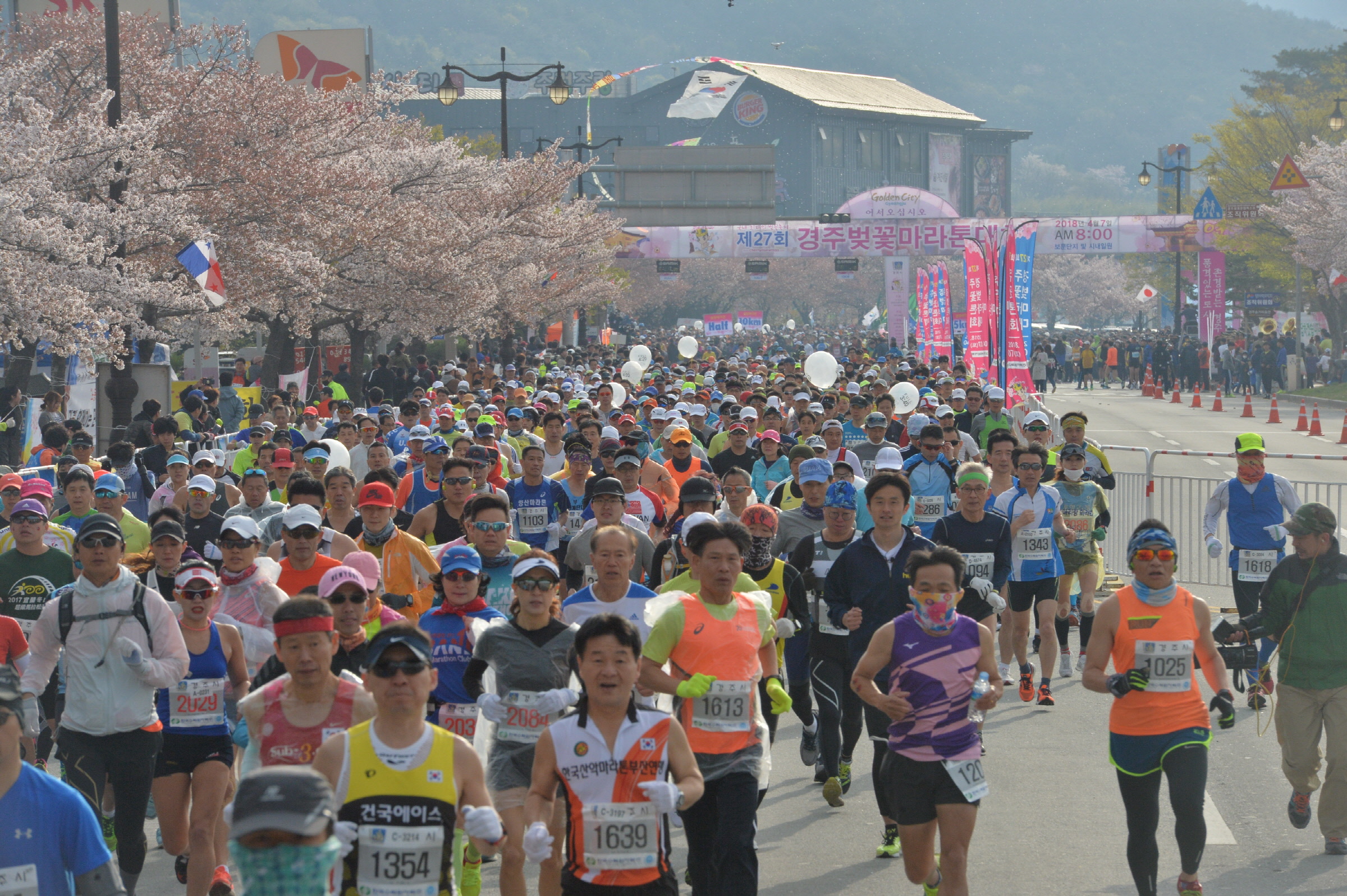 지난 2018년 개최된 제27회 경주벚꽃마라톤대회 모습