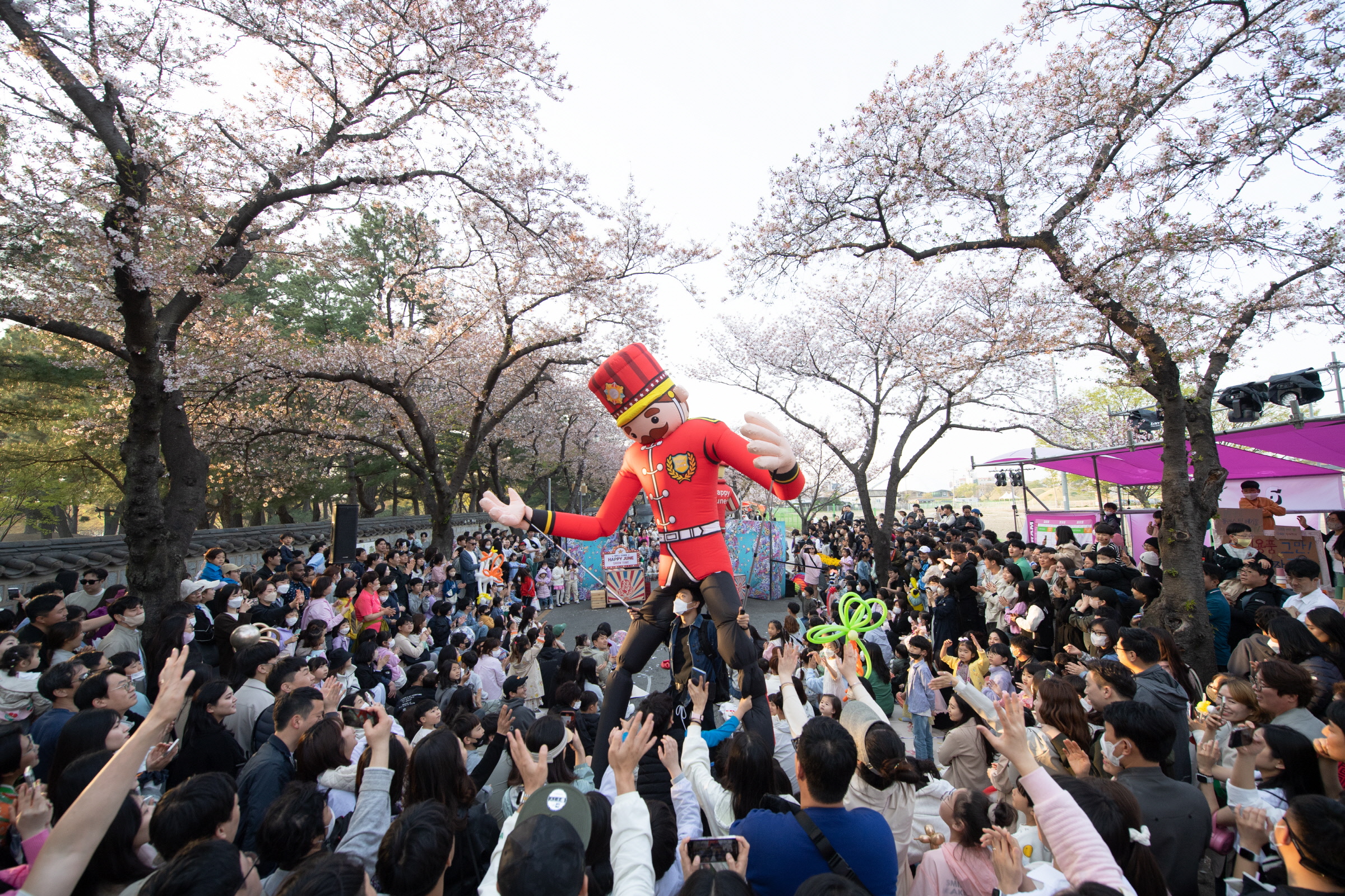 지난해 경주벚꽃축제 사진