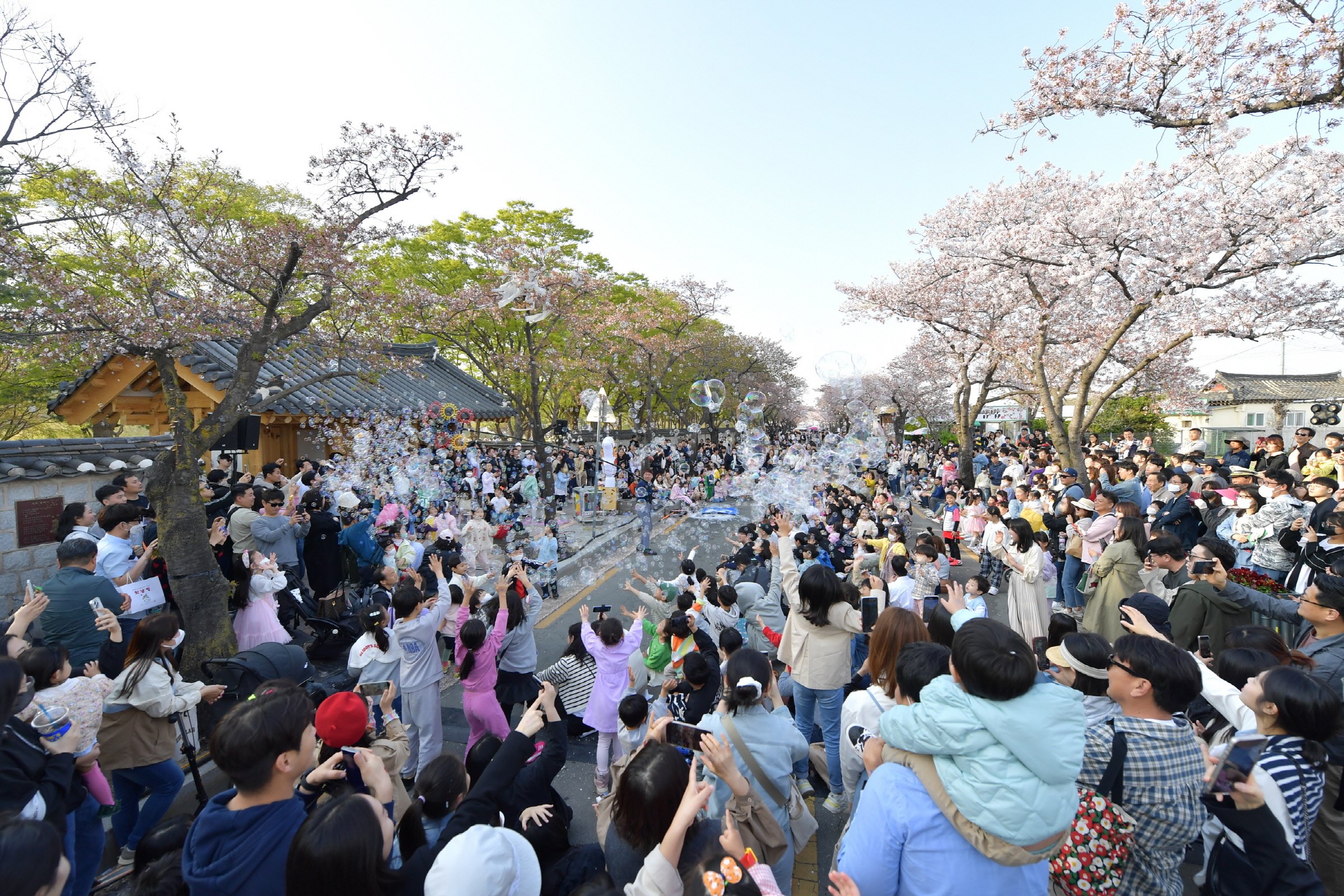 지난해 3월 31일부터 4월 2일까지 3일간 열린 2023경주벚꽃축제 기간 메인 축제장인 대릉원 돌담길 모습.