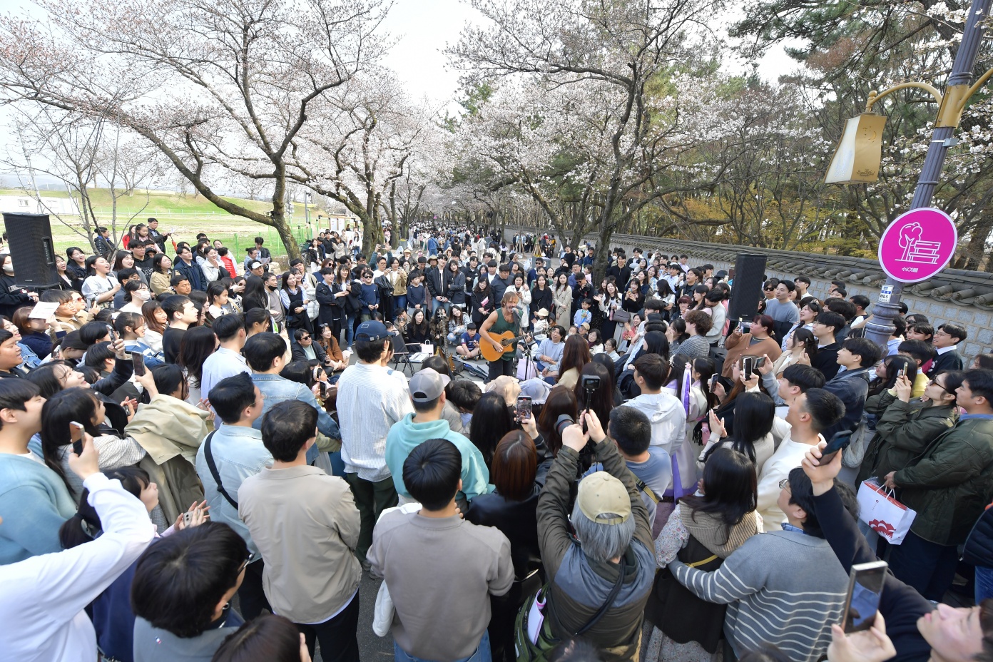 대릉원 돌담길 벚꽃축제 행사 현장