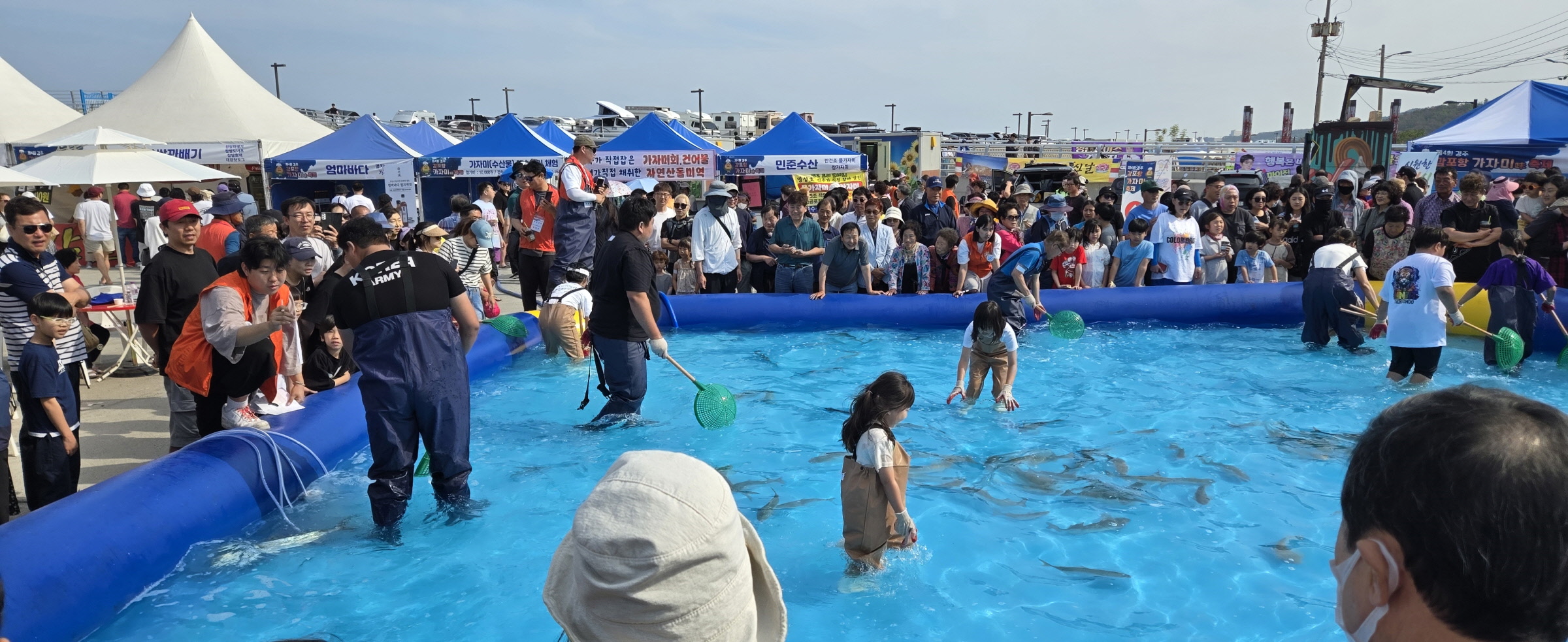 제4회 감포항 가자미 축제 수산물 맨손잡기 체험
