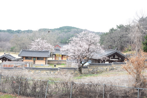 봄4