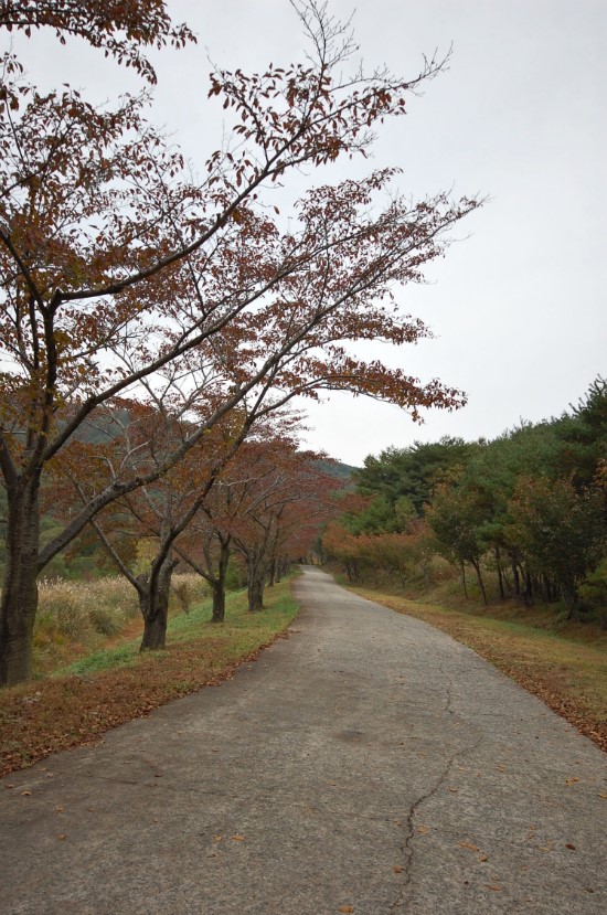 OK목장 입구(가을)