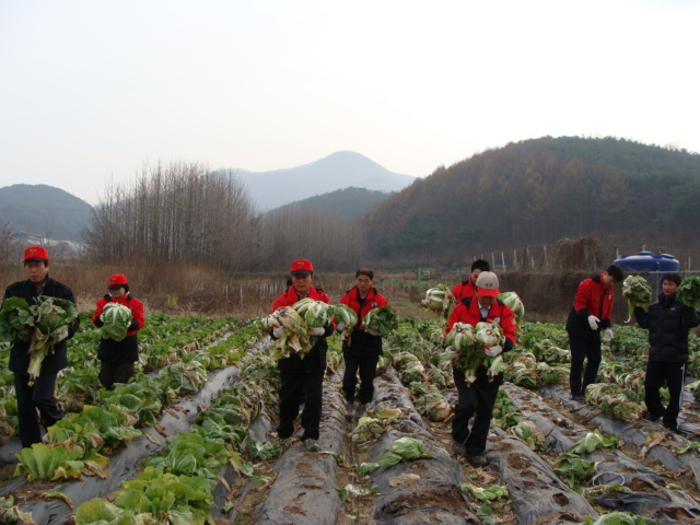 서면 직원 봉사활동