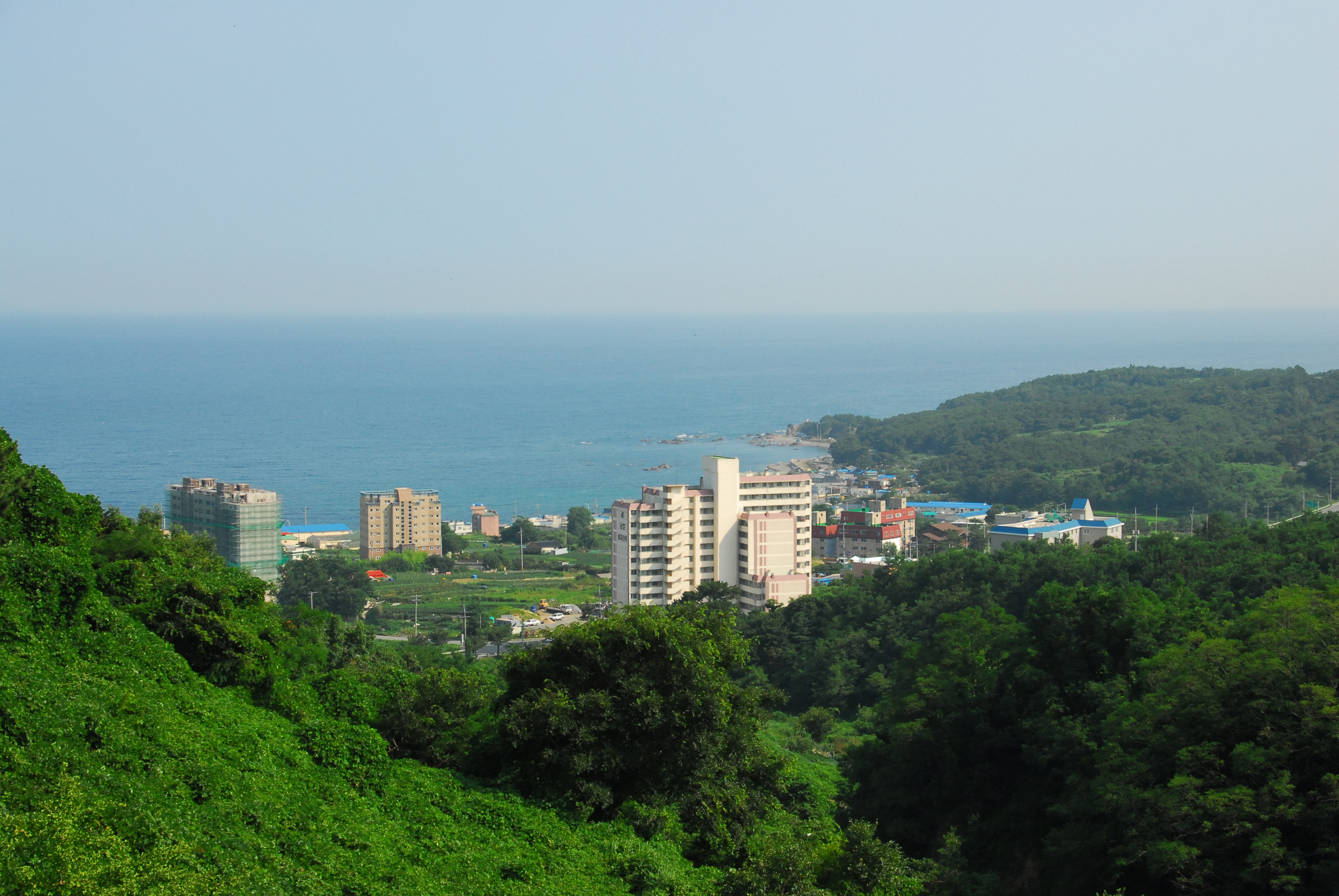 DSC_0591.JPG