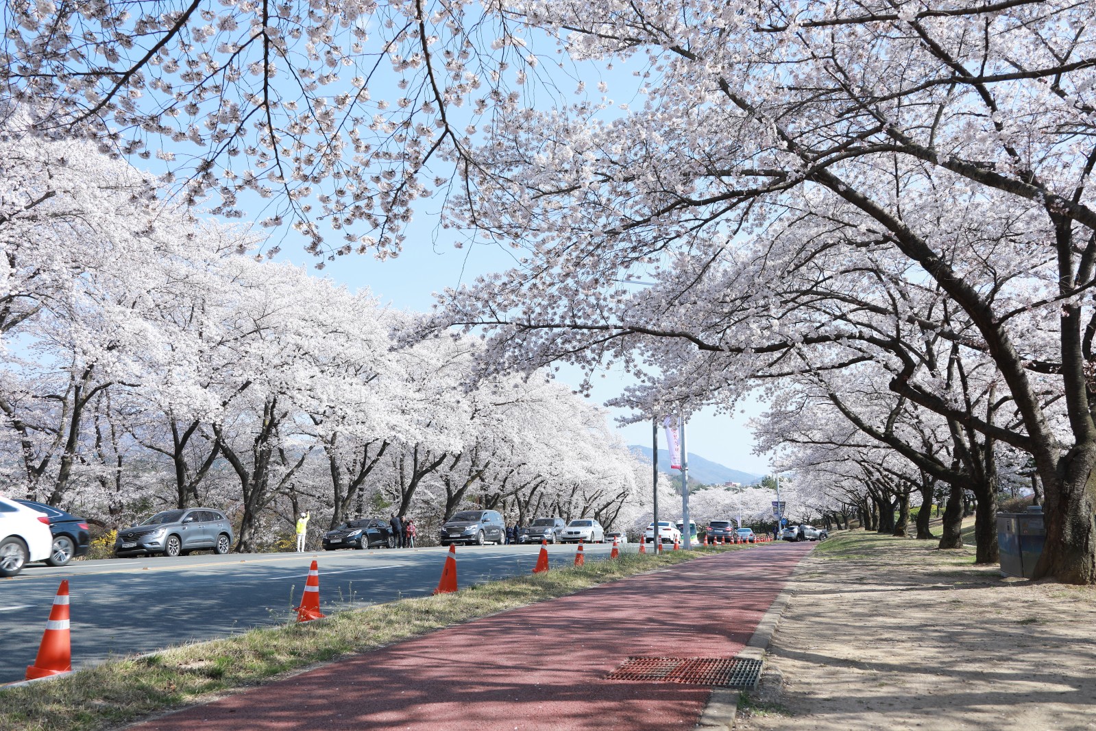 보문단지(2019년 봄)